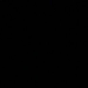 Meet your Posher, Hunter